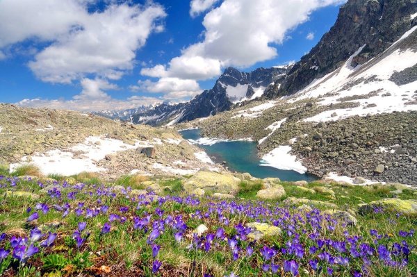 Тебердинский заповедник Альпийские Луга