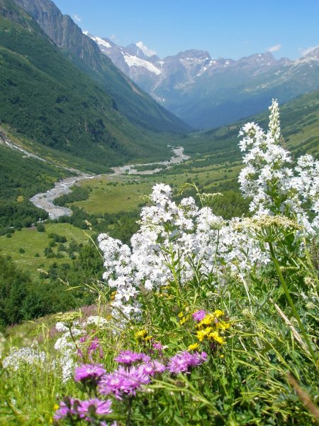 Домбай Карачаево-Черкесия