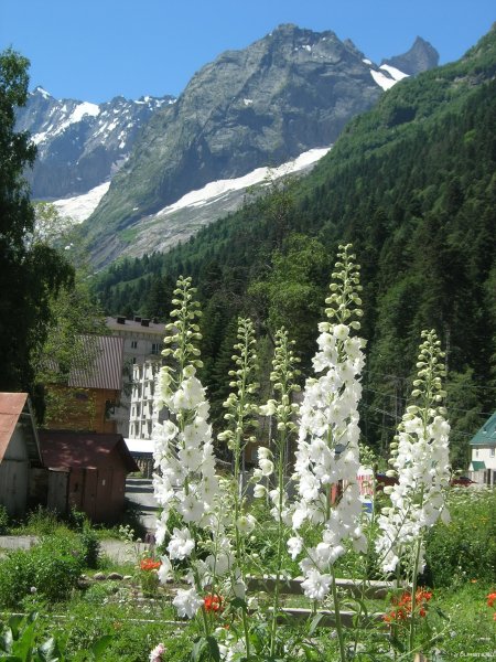 Теберда Домбай