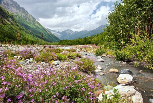 Домбай лето горы