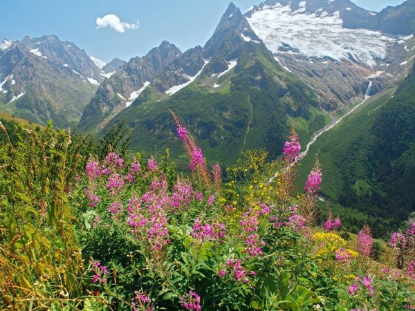 Домбай Альпийские Луга