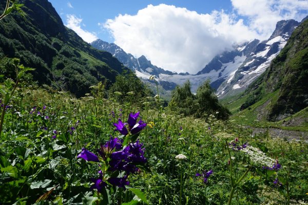 Горная река Архыз ущелье