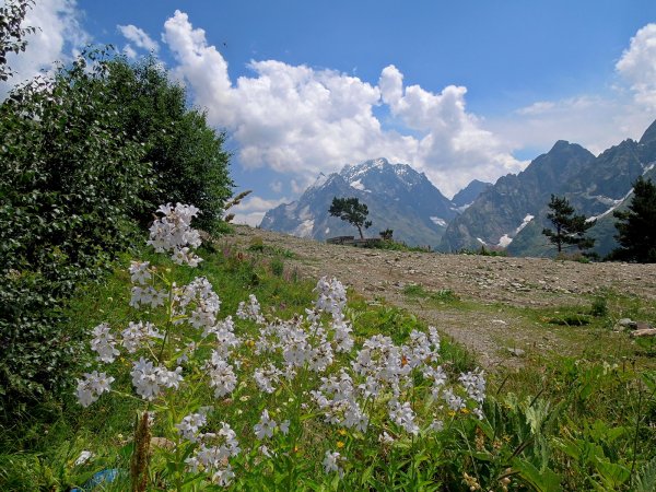 Домбай Теберда весной