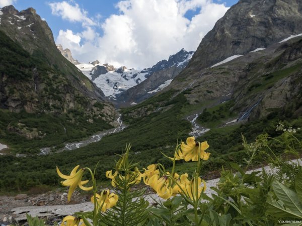 Поселок Домбай зимой