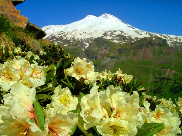 Альпийские Луга Приэльбрусья