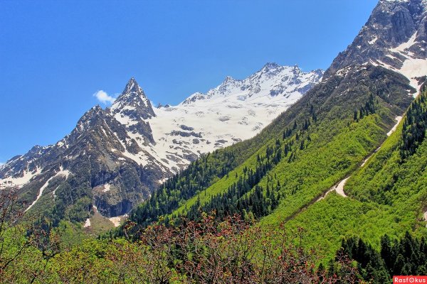 Долина рододендронов красная Поляна
