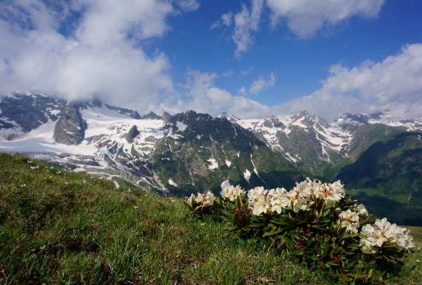 Ущелье Алибек Домбай