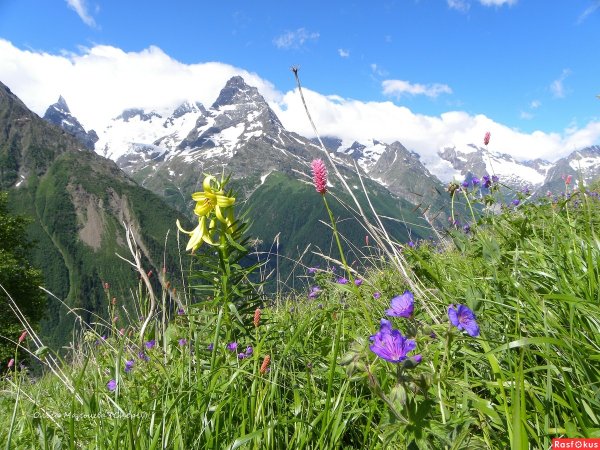 Кавказ Домбай летом