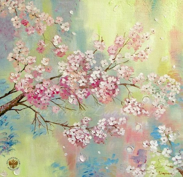 Сакура маслом