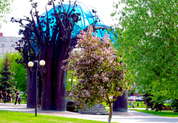 Природа Челябинска город