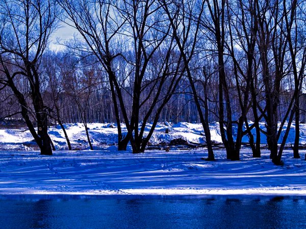 Парки Челябинска весной