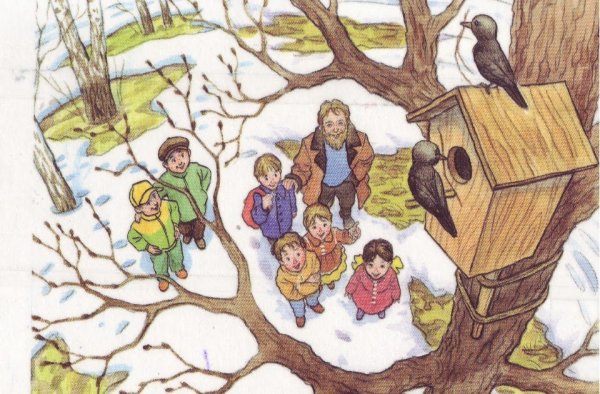 Гнездование Скворцов и грачей