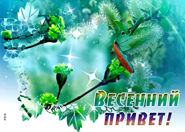 Прикольные музыкальные видеопоздравления с началом весны на тик токе