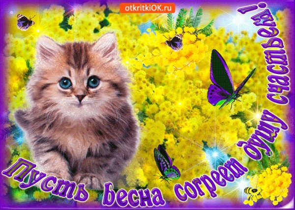 Теплый весенний привет