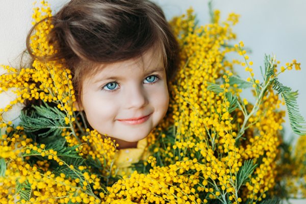 Фотопроект с мимозой