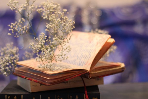 Обои на рабочий стол книги