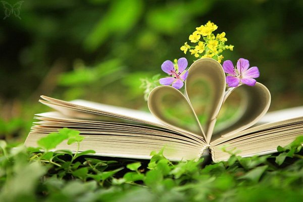 Книга цветы