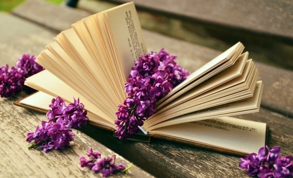 Красивый фон с книгами