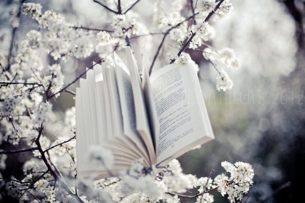 Весенняя книга