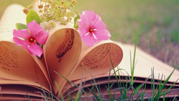 Сирень с книжкой