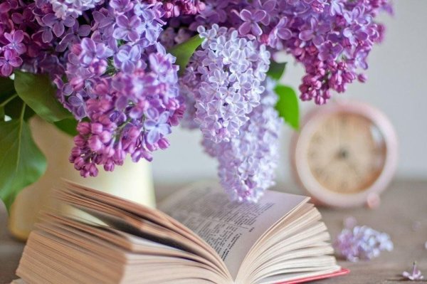 Книжный цветок