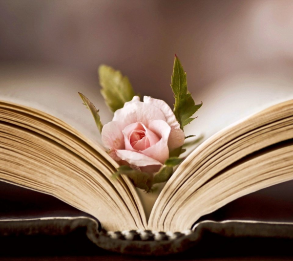 Книга с цветами клипарт