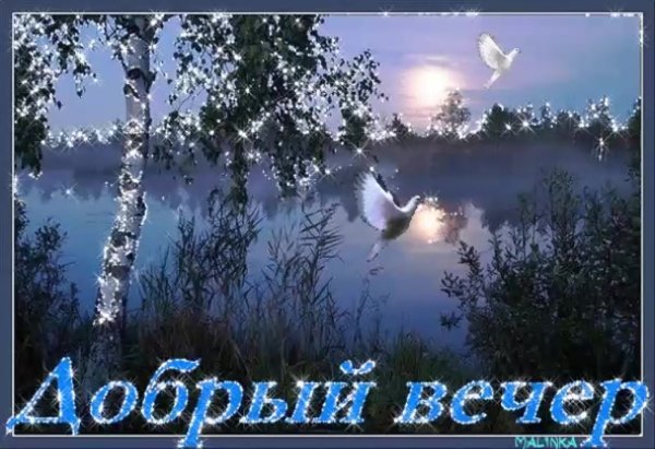 Добрый вечер анимация