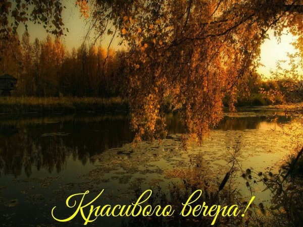 Чудесные пейзажи