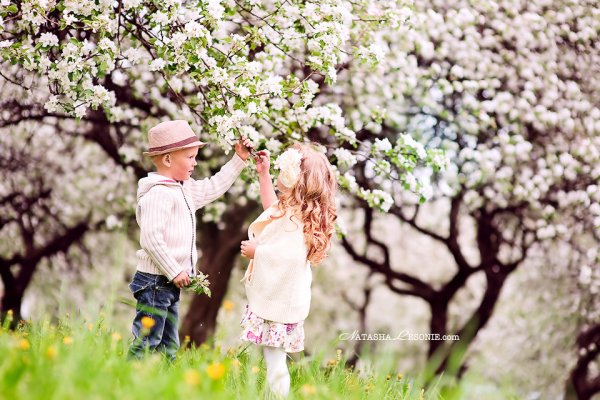 Цветы для детей