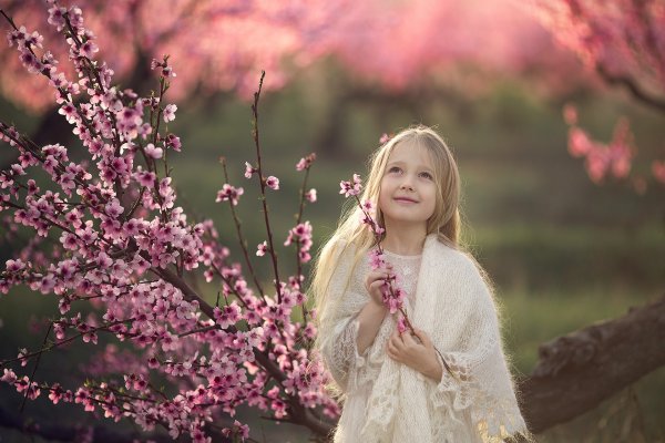 Сказочное лето