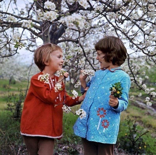 Советские открытки 8 марта 50-х годов