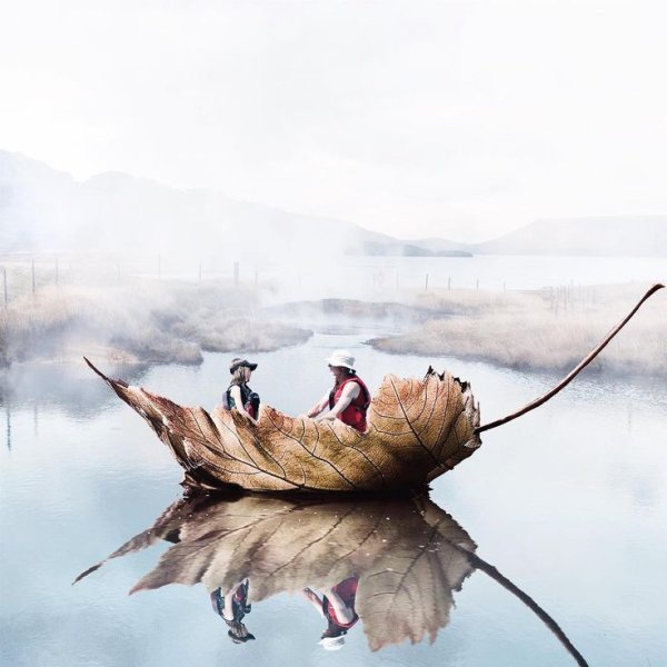 Художник Luisa Azevedo