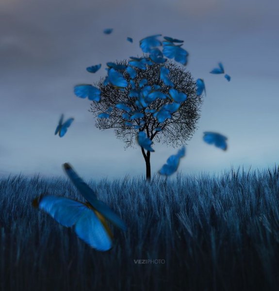 Весна сюрреализм