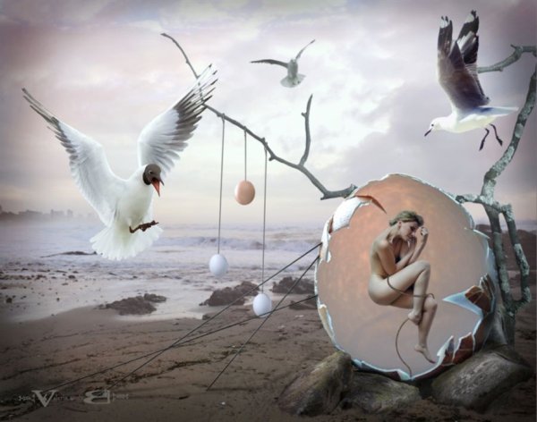 Сюрреализм птицы