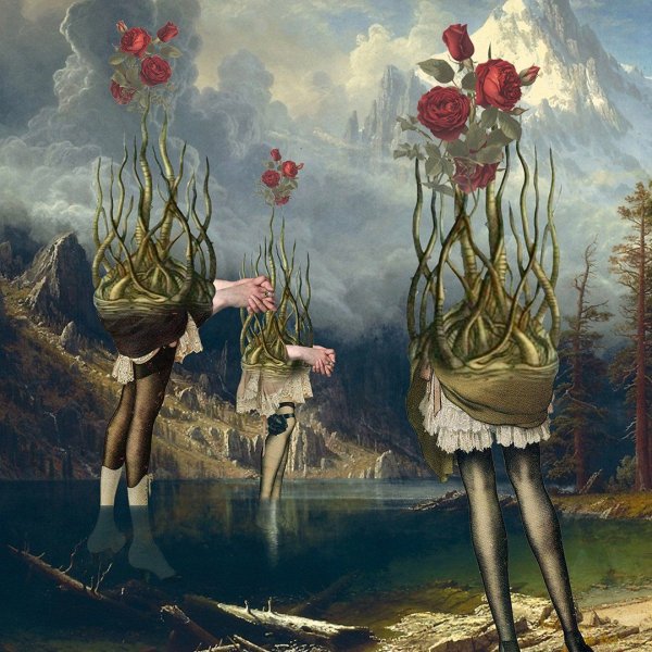 Изысканный сюрреализм