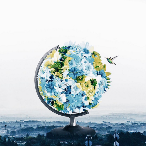 Яцек Йерка зима