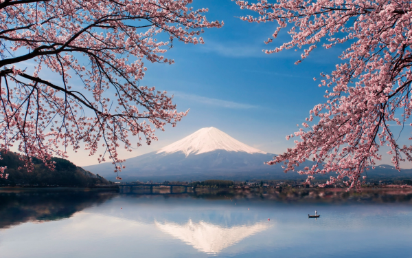 Гора Фудзи и Сакура