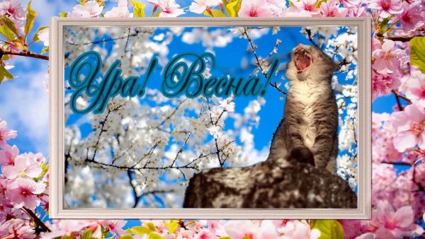 Весна смешные рисунки