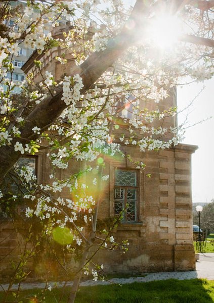 Весна в Евпатории