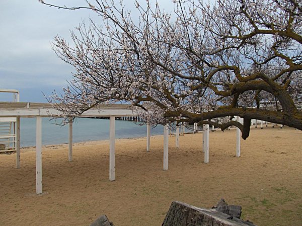 Евпатория в апреле