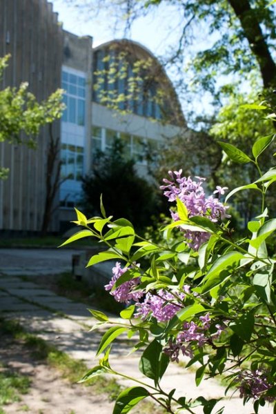 Евпатория весной