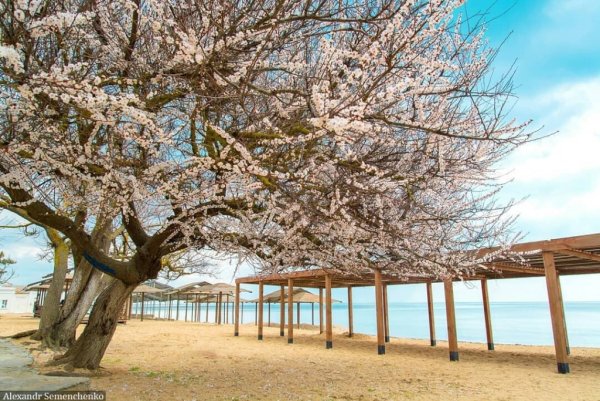 Весна в Евпатории