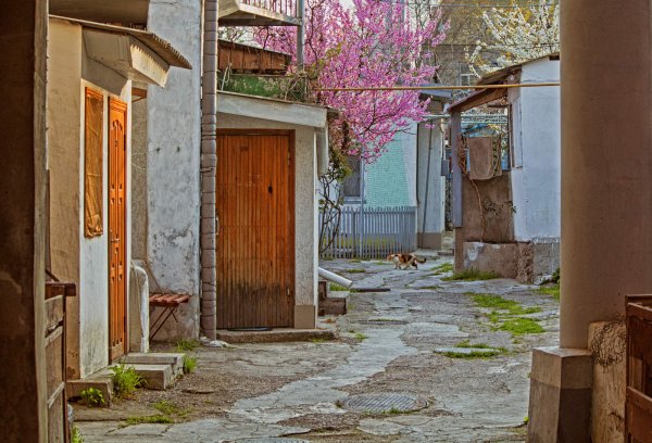 Евпатория весной