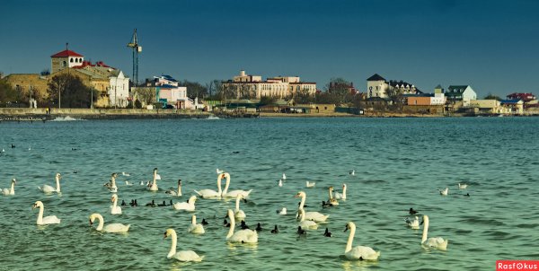 Крымская зима Евпатория