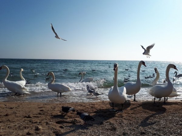 Евпатория в марте