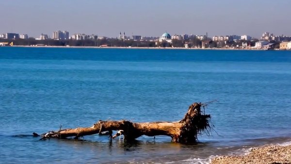 15 Июля день курортника