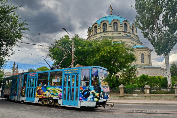 Херсонес Таврический цветы