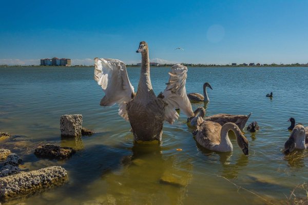 Курортный городок Евпатория