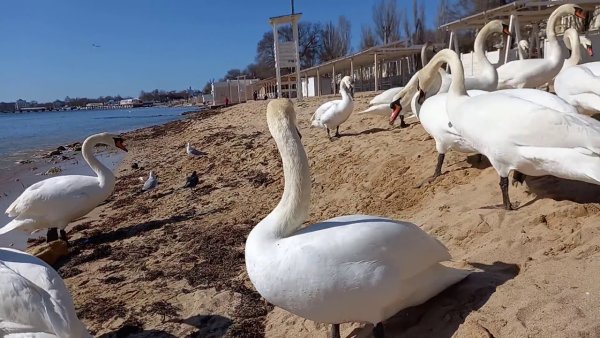 Набережная Терешковой Евпатория