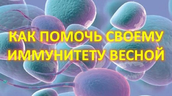 Весенний иммунитет